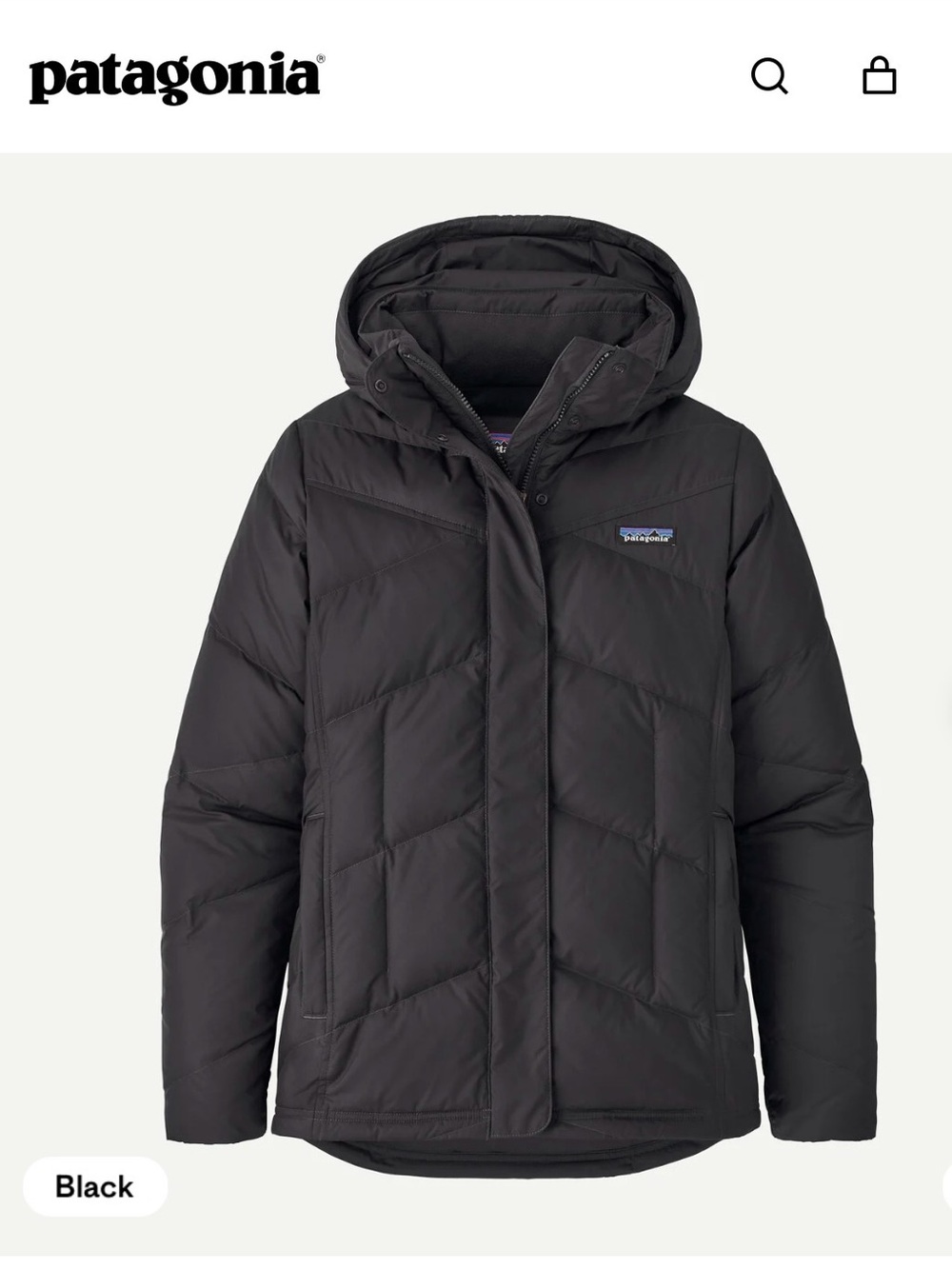 Patagonia Women’s Down With It Insulated Puffer